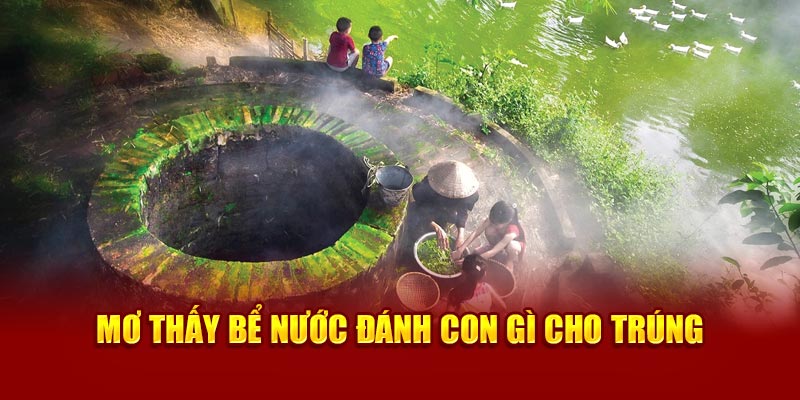 Mơ thấy bể nước đánh con gì cho trúng