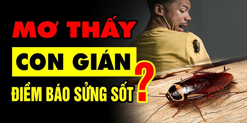 Số đề may mắn khi nằm mơ thấy gián