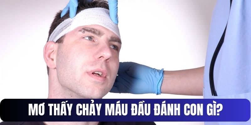 Giải mã số đẹp về các giấc mơ thấy chảy máu đầu