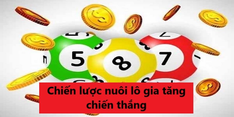 Chiến lược nuôi lô giúp bạn gia tăng khả năng chiến thắng